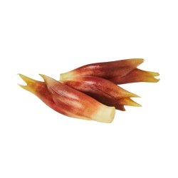 Japán gyömbér "Myoga" 50g