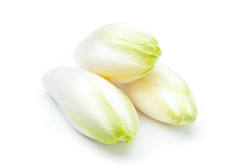 Endívia saláta I.o. 500g