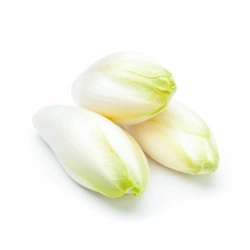 Endívia saláta 500g