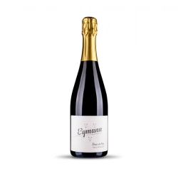 Weingut Eymann - Riesling Sekt Extra Brut 0,75l