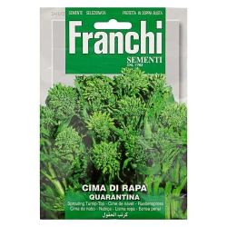 Franchi répalevél (Cima di rapa quarantina) vetőmag