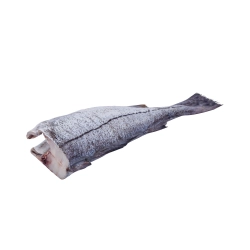 Atlanti tőkehal belezve, fej nélkül 3kg