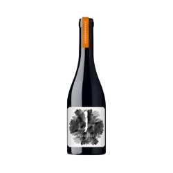 Kristinus - Parapli 2020 0,75l