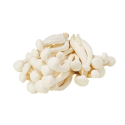 Shimeji gomba fehér (bükkgomba) 10 tálca * 150g