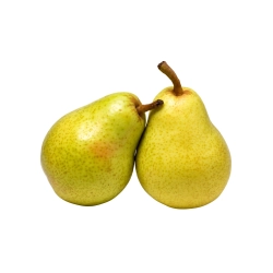 Vilmos körte