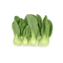 Bébi pak choi