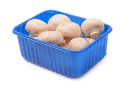 Gomba 0,5kg/tálca