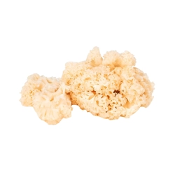 Káposztagomba fodros 1kg