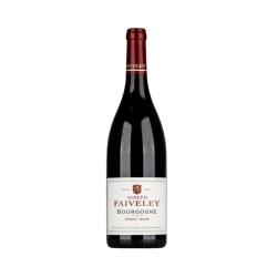 Domaine Faiveley - Bourgogne Pinot Noir 2023 0,75l