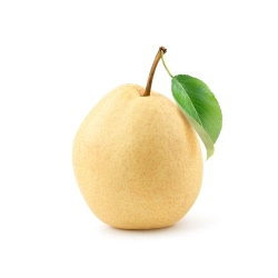 Nashi körte