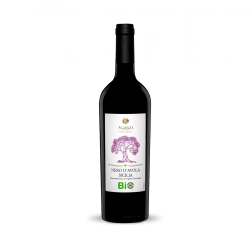 Cantine Sgarzi - Nero D'Avola DOC Sicilia IGT 2020 0,75l
