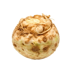 Zellergumó