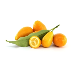 Kumquat