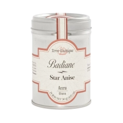 Terre Exotique badiane csillagánizs 30g