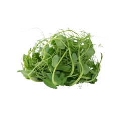 Borsó hajtás 80g