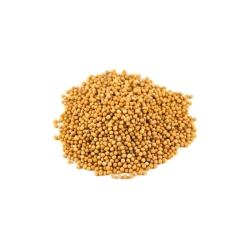 Spice mustármag 250g