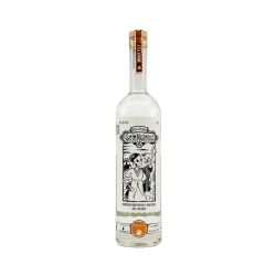 Los Siete Misterios Doba-Yej mezcal 44% 0,7l