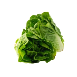 Bébi római saláta 500g/csomag