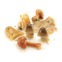 Castellino antipasti gombakeverék vargányával 1350g/1900g