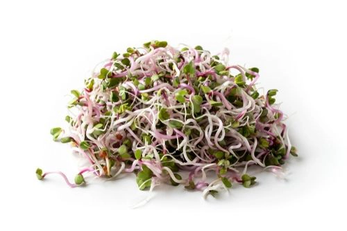 Retek csíra 50g