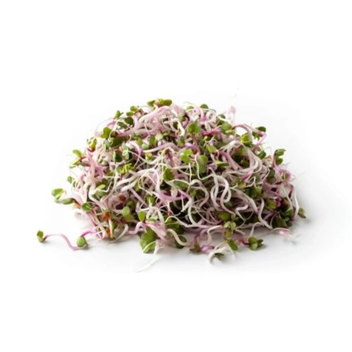 Retek csíra 50g