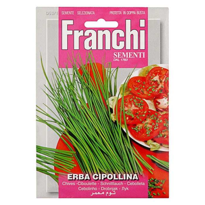 Franchi erba cipollina snidling vetőmag