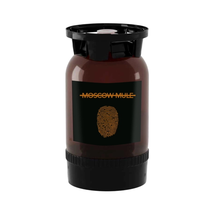 Mixperience Moscow Mule koktél 11% 20l