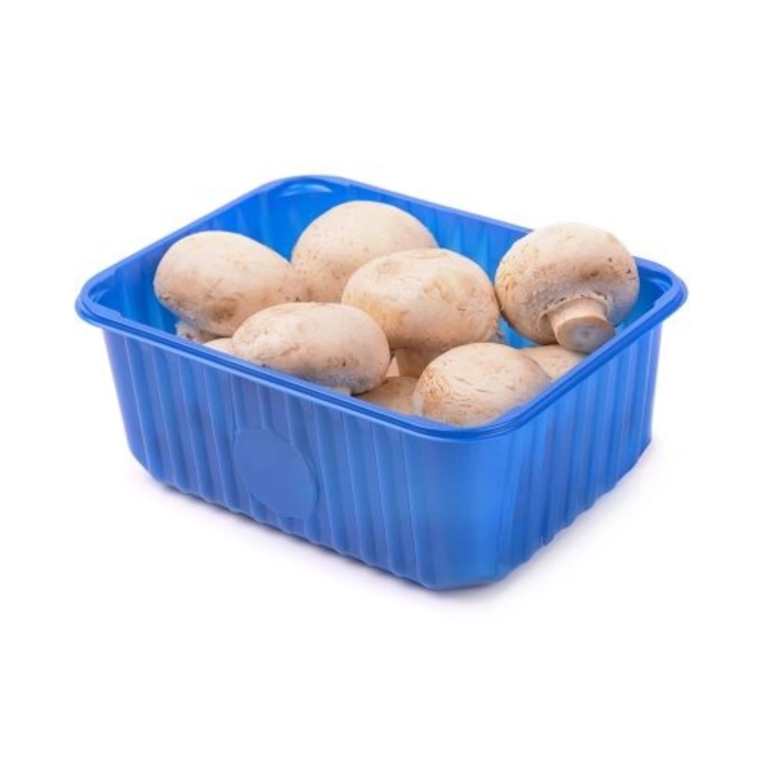 Gomba 0,5kg/tálca
