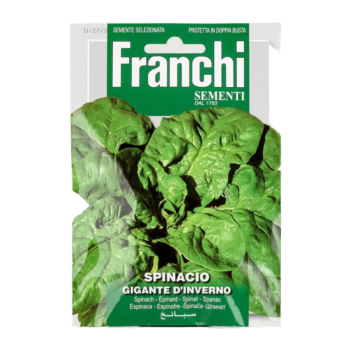 Franchi spenót (óriás téll)