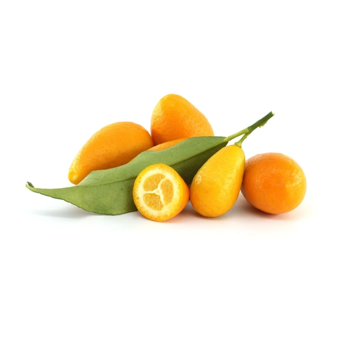 Kumquat