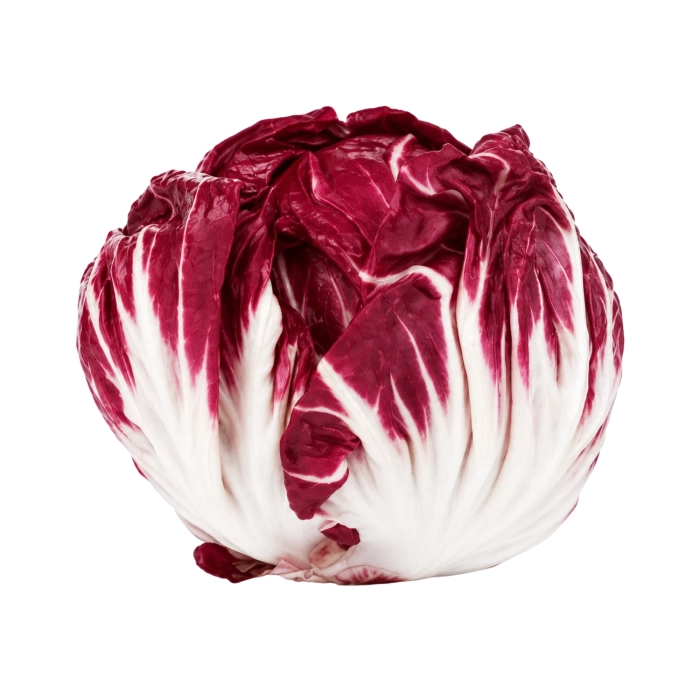 Radicchio saláta (kb. 500gr/fej)