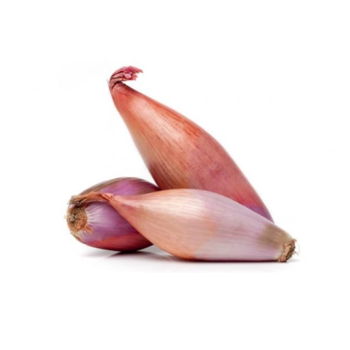 Salotta hagyma