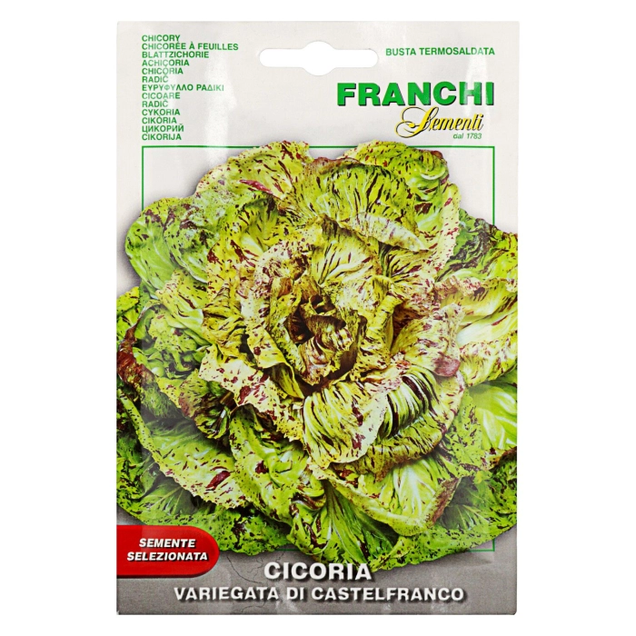 Franchi cikória (Castelfranco) vetőmag